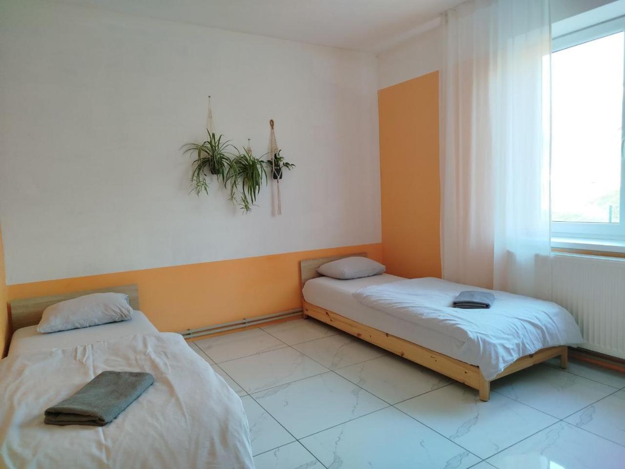 Za Ohradami Apartment Zavazna Poruba Luaran gambar
