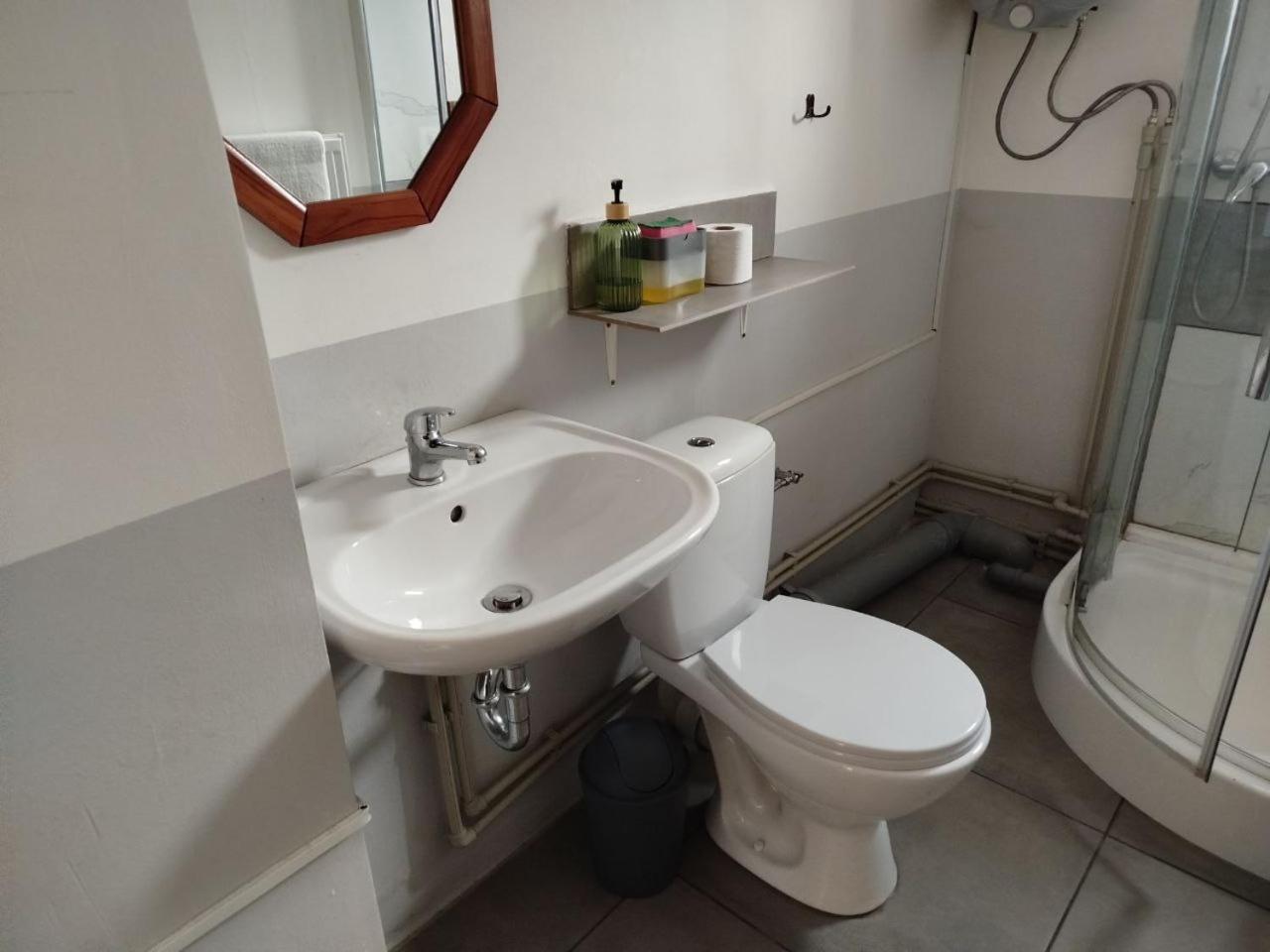 Za Ohradami Apartment Zavazna Poruba Luaran gambar